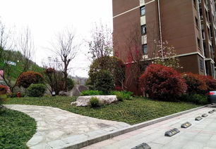 2017年度湖北省園林綠化優質工程展示（二）