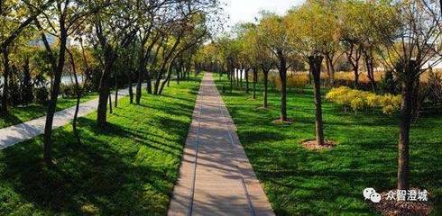 信用納為重要指標(biāo)！江陰出臺(tái)新的園林綠化工程招投標(biāo)管理實(shí)施細(xì)則