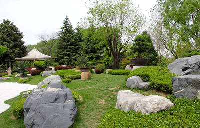 《園林綠化工程建設(shè)管理規(guī)定》發(fā)布，擘畫城市綠色未來新藍(lán)圖