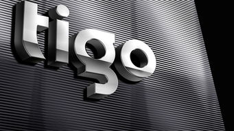 深圳比領(lǐng)設(shè)計 為Tigo金泰克科技注入品牌靈魂，打造專業(yè)電子產(chǎn)品VI與Logo設(shè)計